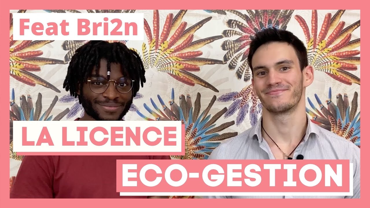La Licence Éco Gestion - Thotis x @Bri2n