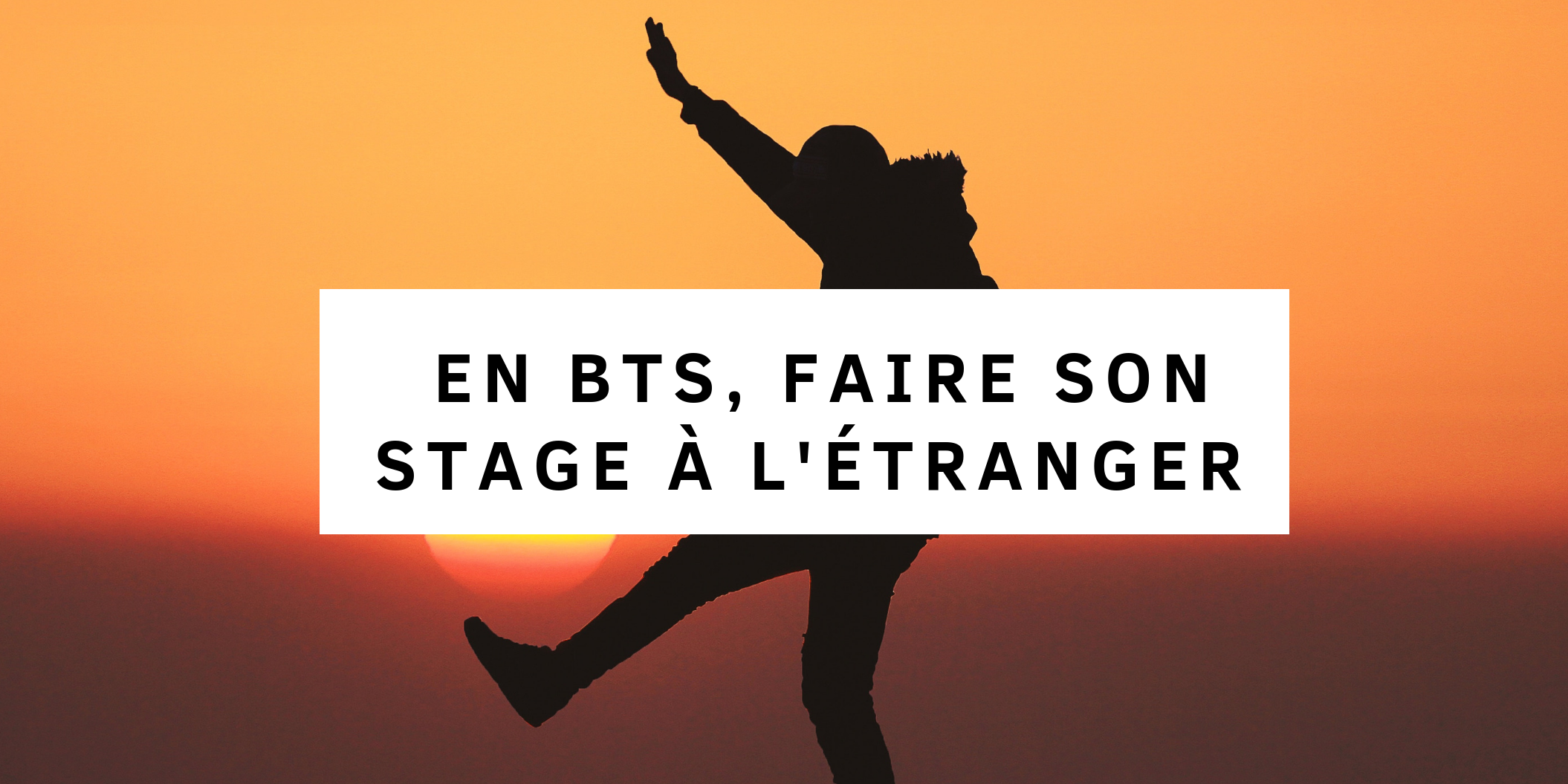Bts Commerce International Stage Prospection Facile De Trouver