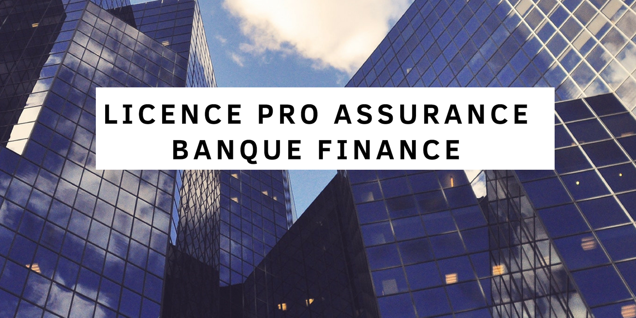 Antoine  Licence pro Assurance Banque Finance  Thotis