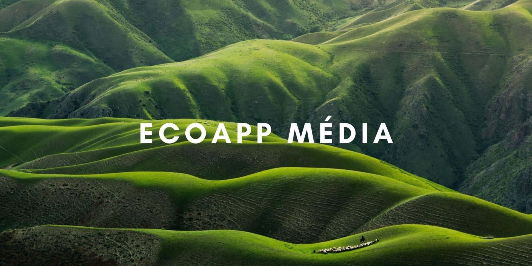 Résultat de recherche d'images pour "ecoapp media"