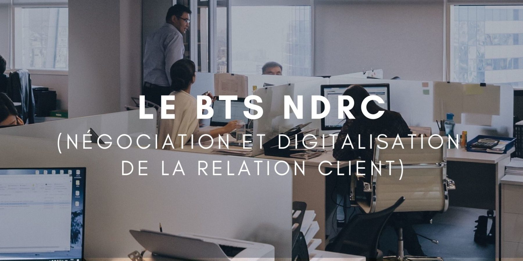 BTS NDRC Négociation et Digitalisation de la Relation