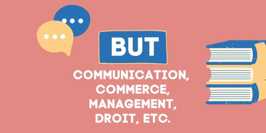 BUT – Bachelor Universitaire de Technologie - Thotis
