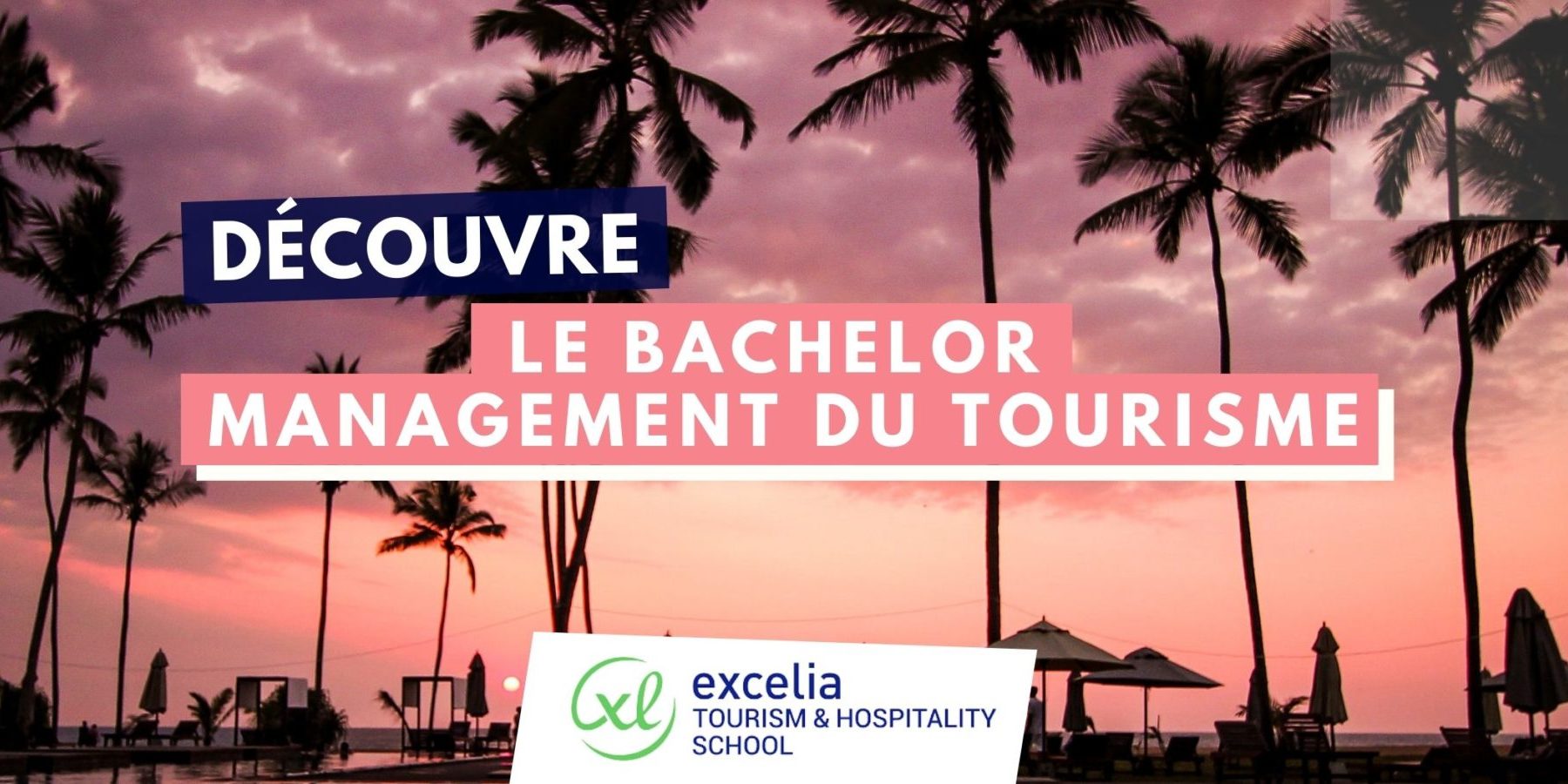 bachelor tourisme tours