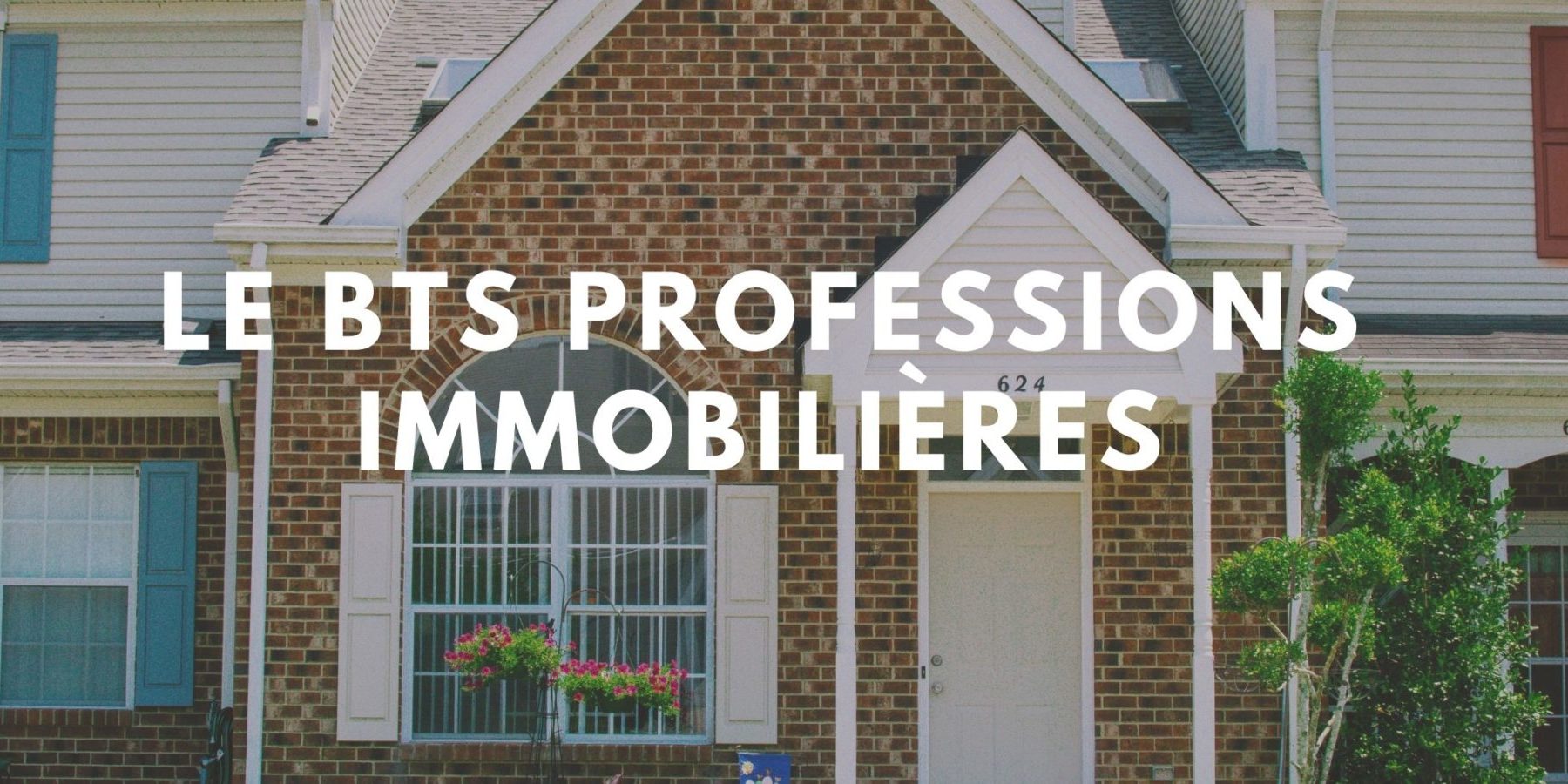 BTS Professions Immobilières matières, débouchés et conseils Thotis — free download