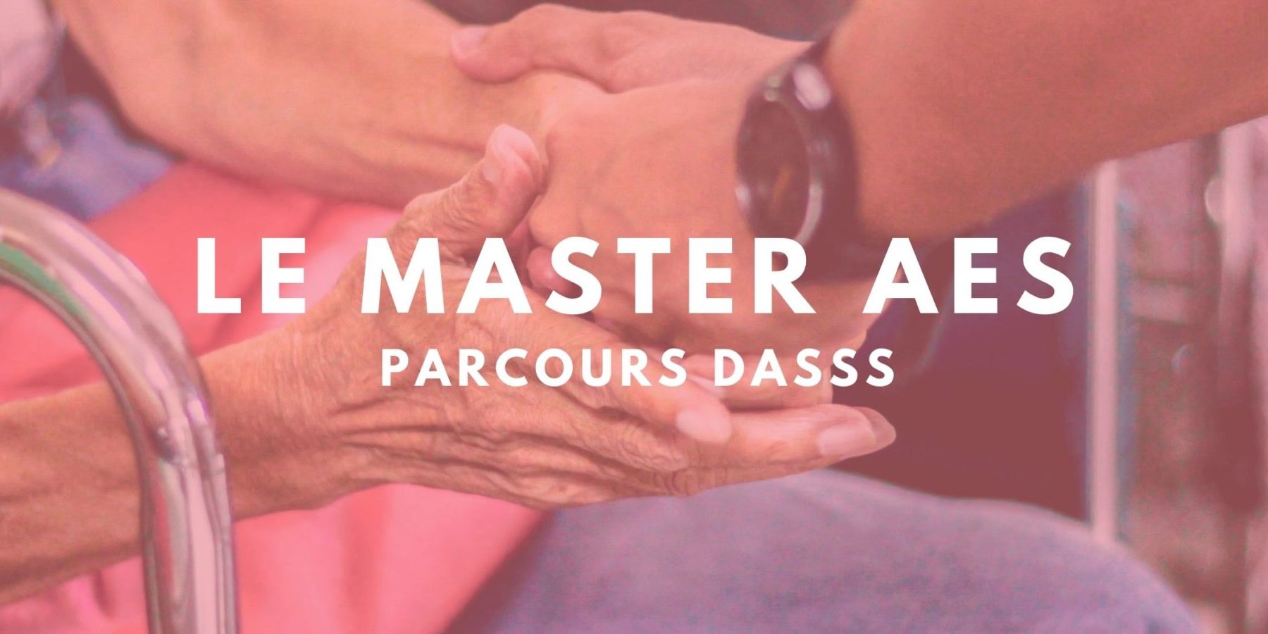 Le Master AES parcours DASSS Thotis