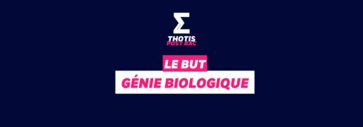 Génie Biologique BUT
