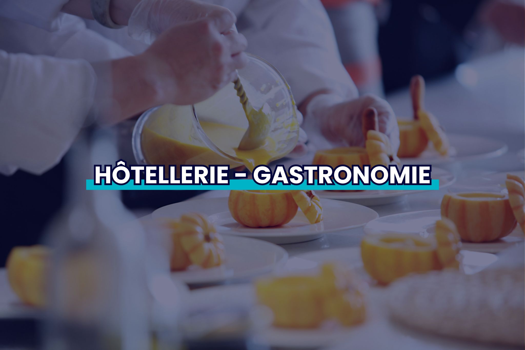 hotellerie-gastronomie