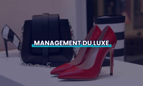 management-luxe