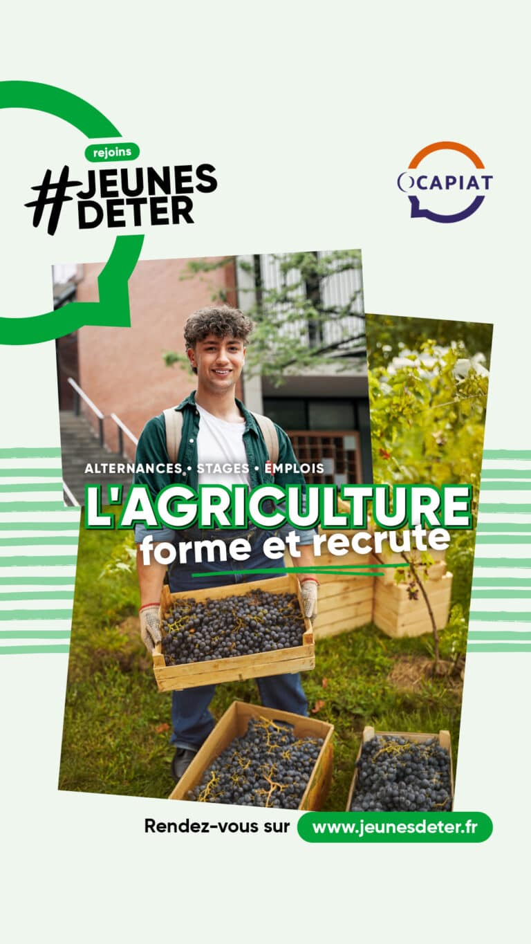 La Licence Sciences de la Vie matières, débouchés, conseils… Thotis