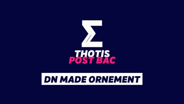 DN MADE ORNEMENT