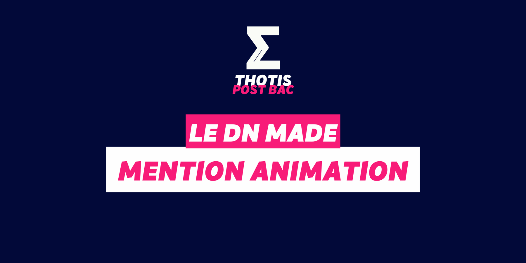 DN MADE ANIMATION