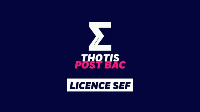 Licence SEF