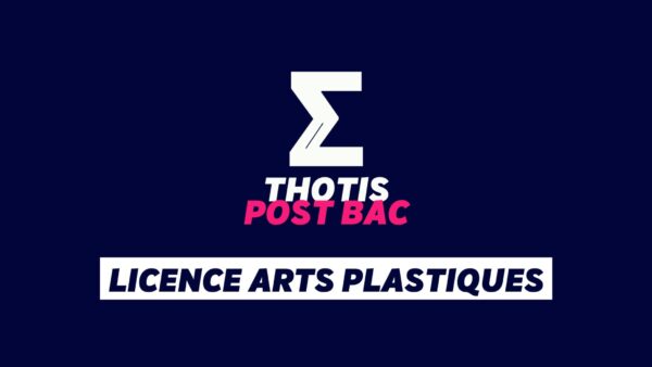 Licence Arts plastiques