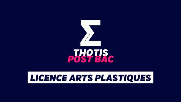 Licence Arts plastiques