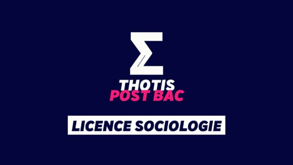 Licence Sociologie Licence Sociologie
