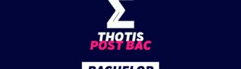 Bachelor, formation professionnalisante des écoles